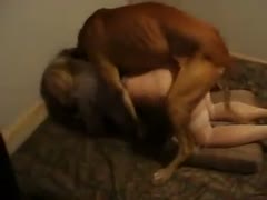 Her brown dog is gangbanging the attractive Asian adolescent.